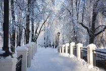 &quot;Apsnigtas tiltelis&quot; Albina Jasinskaitė
